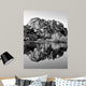 Joshua Tree Lake Bw Wall Decal