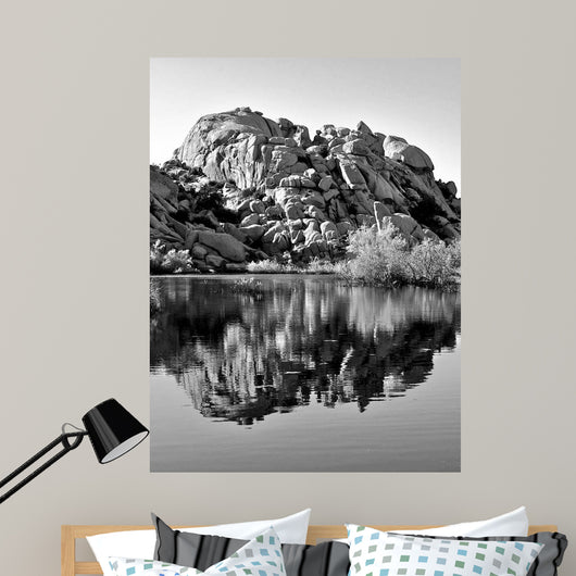 Joshua Tree Lake Bw Wall Decal