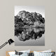Joshua Tree Lake Bw Wall Decal