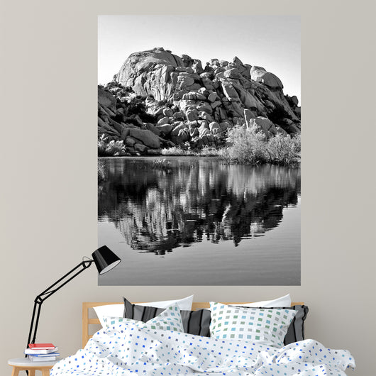 Joshua Tree Lake Bw Wall Decal
