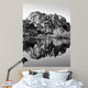 Joshua Tree Lake Bw Wall Decal