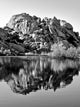 Joshua Tree Lake Bw Wall Decal