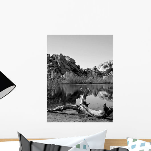 Joshua Tree Lake with Wall Decal Design 2