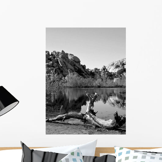Joshua Tree Lake with Wall Decal Design 2