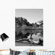 Joshua Tree Lake with Wall Decal Design 2