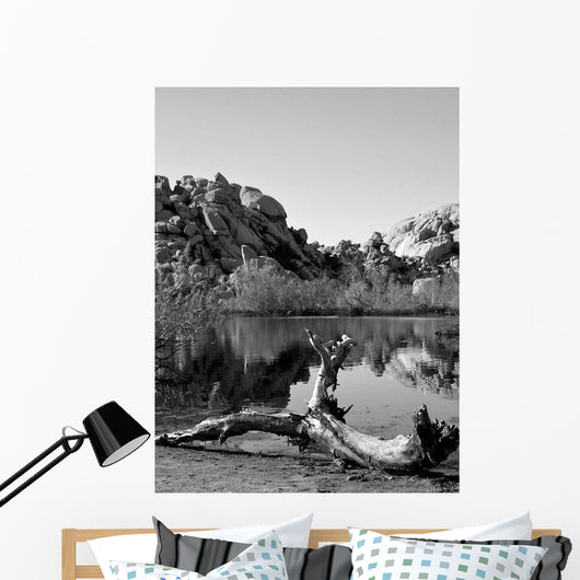 Joshua Tree Lake with Wall Decal Design 2