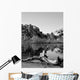 Joshua Tree Lake with Wall Decal Design 2