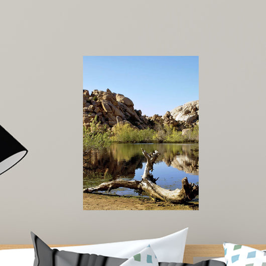Joshua Tree Lake with Wall Decal Design 1
