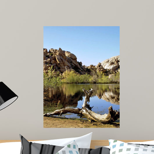 Joshua Tree Lake with Wall Decal Design 1