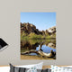Joshua Tree Lake with Wall Decal Design 1