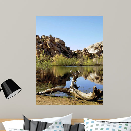 Joshua Tree Lake with Wall Decal Design 1