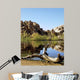 Joshua Tree Lake with Wall Decal Design 1