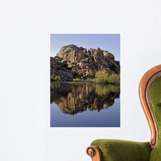 Joshua Tree Lake Wall Decal