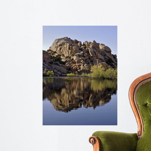 Joshua Tree Lake Wall Decal