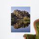 Joshua Tree Lake Wall Decal