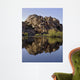 Joshua Tree Lake Wall Decal
