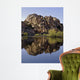 Joshua Tree Lake Wall Decal