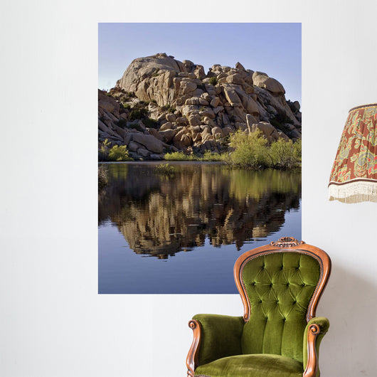 Joshua Tree Lake Wall Decal