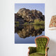 Joshua Tree Lake Wall Decal