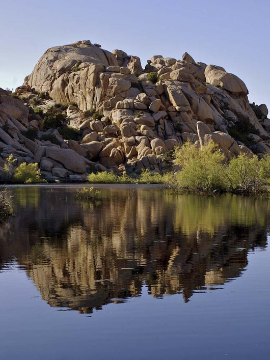Joshua Tree Lake Wall Decal