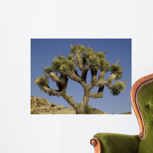 Joshua Tree Wall Decal
