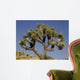 Joshua Tree Wall Decal