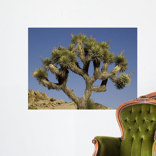 Joshua Tree Wall Decal