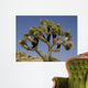 Joshua Tree Wall Decal