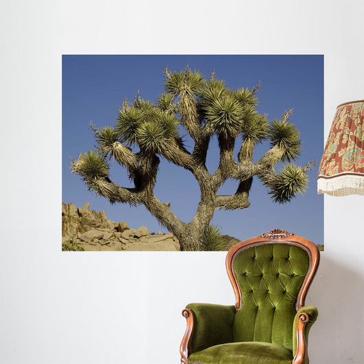 Joshua Tree Wall Decal