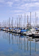 Marina Reflections Wall Decal