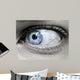 Mono Blue Eye Wall Decal