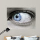 Mono Blue Eye Wall Decal