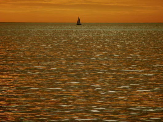 Orange Winter Sunset Wall Decal