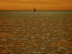 Orange Winter Sunset Wall Decal