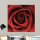 Red Rose Square Wall Decal