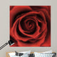 Red Rose Square Wall Decal