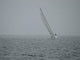 Sailboat Wind Wall Decal