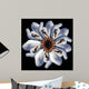 Swan Flower Black Wall Decal
