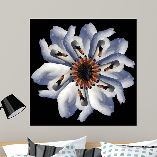 Swan Flower Black Wall Decal
