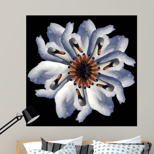 Swan Flower Black Wall Decal