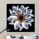 Swan Flower Black Wall Decal