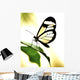 Transparent Butterfly Wall Decal