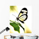 Transparent Butterfly Wall Decal