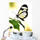 Transparent Butterfly Wall Decal