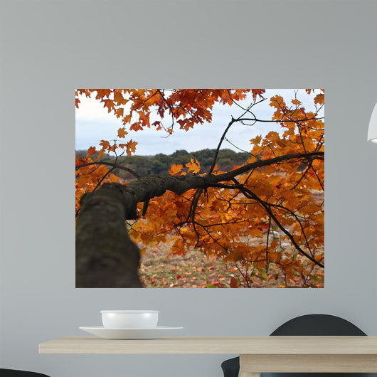 Along Branch Wall Decal