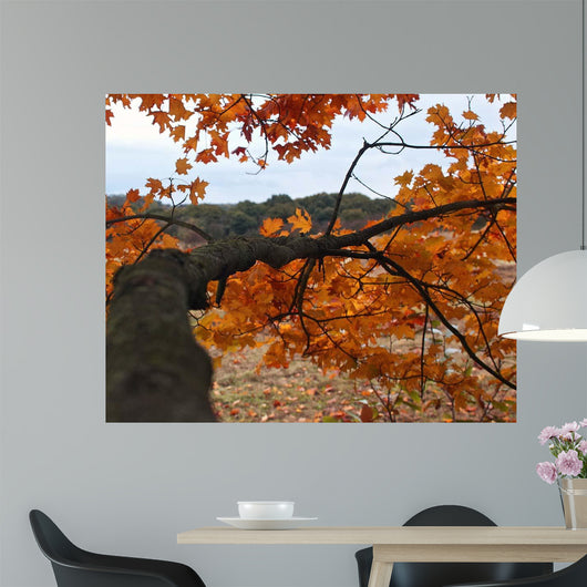 Along Branch Wall Decal