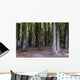 Bluebell Wood Wall Decal