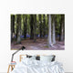 Bluebell Wood Wall Decal
