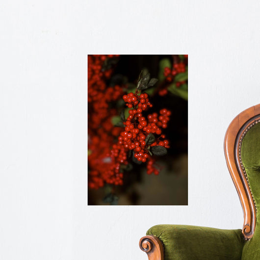 Festive Red Berries Wall Decal