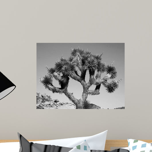 Joshua Tree Bw Wall Decal